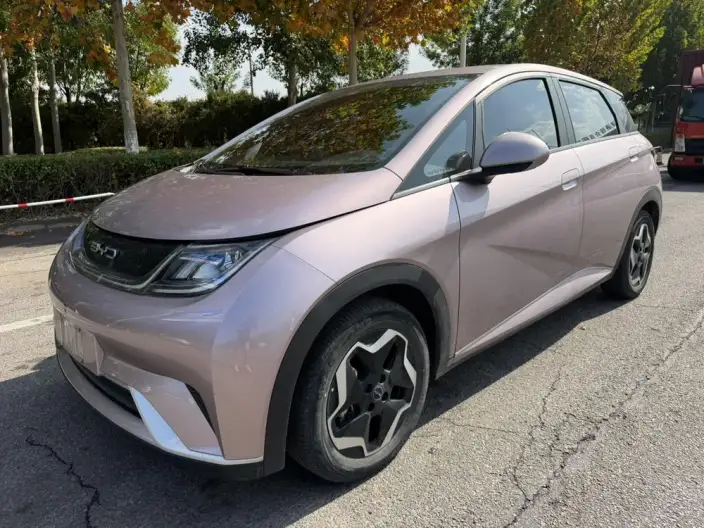BYD Dolphin 2021 Model Fashion Edition – фото 1
