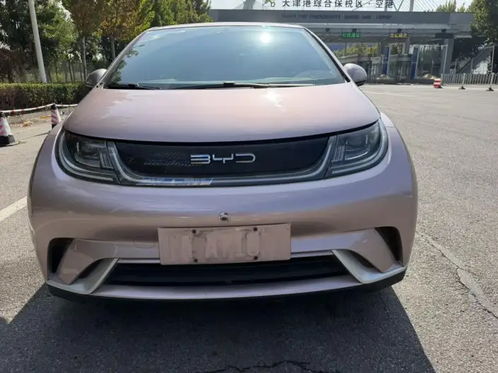 BYD Dolphin 2021 Model Fashion Edition – фото 2