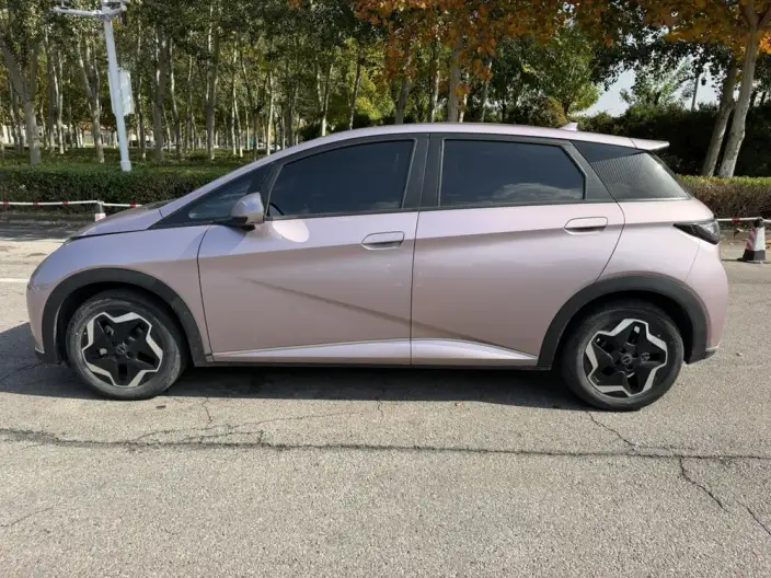 BYD Dolphin 2021 Model Fashion Edition – фото 3
