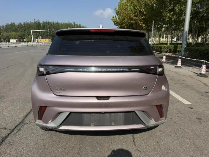 BYD Dolphin 2021 Model Fashion Edition – фото 4