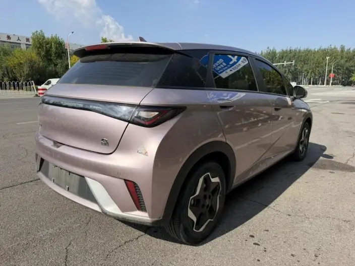 BYD Dolphin 2021 Model Fashion Edition – фото 5