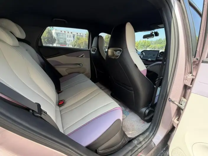 BYD Dolphin 2021 Model Fashion Edition – фото 9