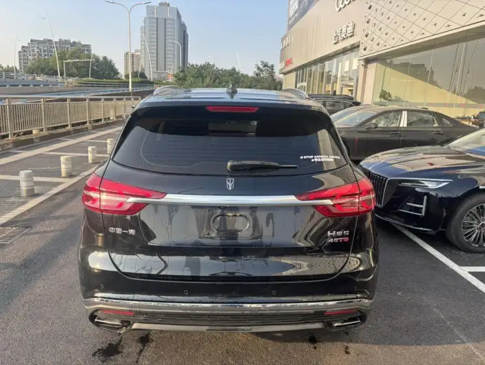 Hongqi HS5 2022 Model 2.0T Smart Flag Enjoy 4WD Edition – фото 6