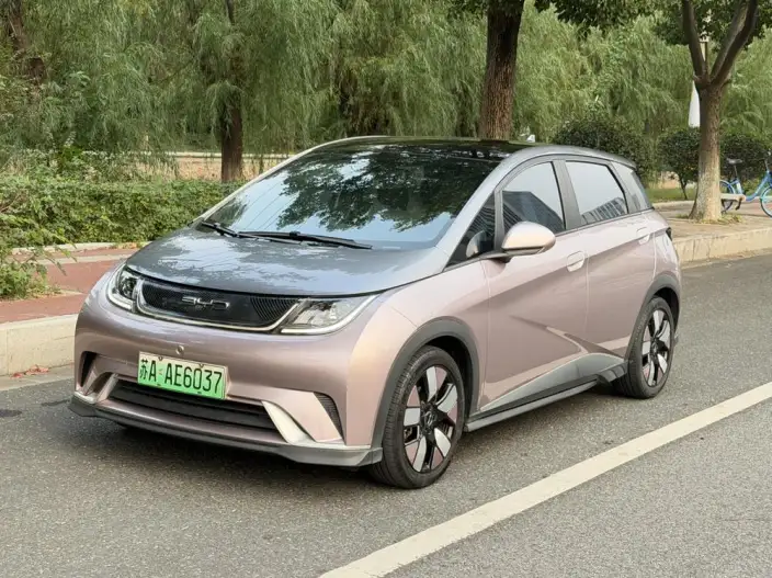 BYD Dolphin 2023 Model Knight Edition – фото 1