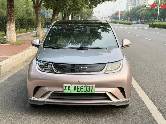 BYD Dolphin 2023 Model Knight Edition – фото 2