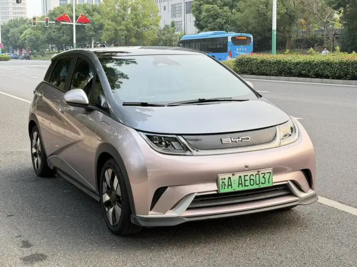 BYD Dolphin 2023 Model Knight Edition – фото 3