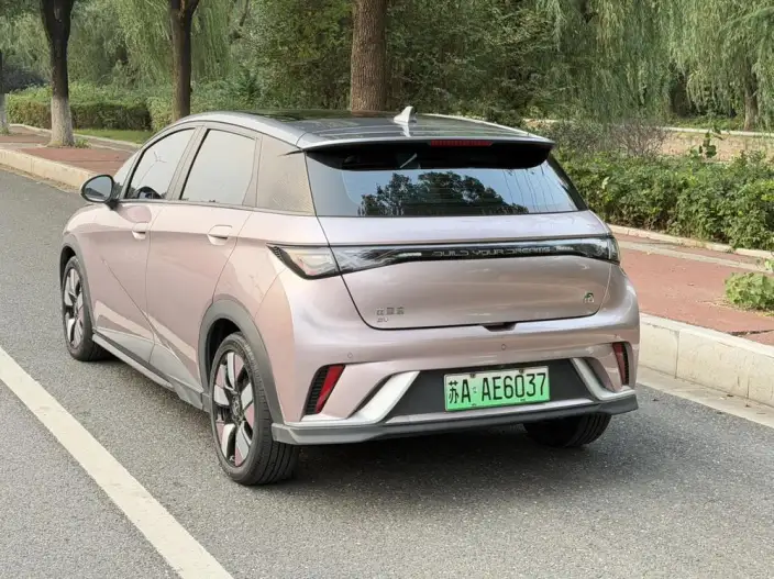 BYD Dolphin 2023 Model Knight Edition – фото 4