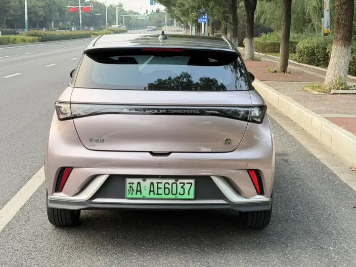 BYD Dolphin 2023 Model Knight Edition – фото 5