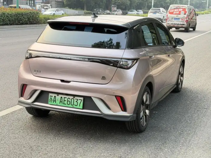 BYD Dolphin 2023 Model Knight Edition – фото 6