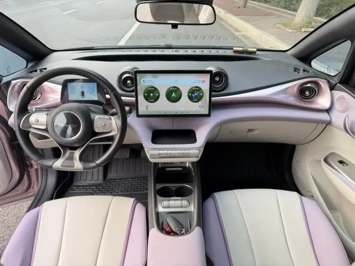 BYD Dolphin 2023 Model Knight Edition – фото 9