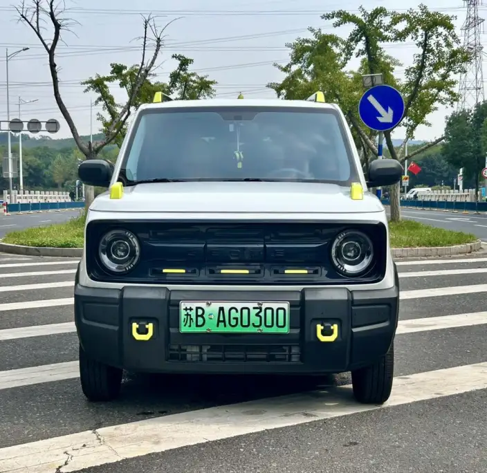 Panda 2025 Model 210km Panda Knight