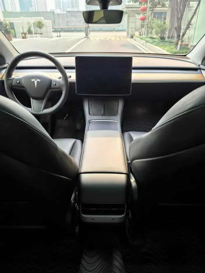 Model Y 2022 Model Facelift Rear-wheel drive version – фото 6