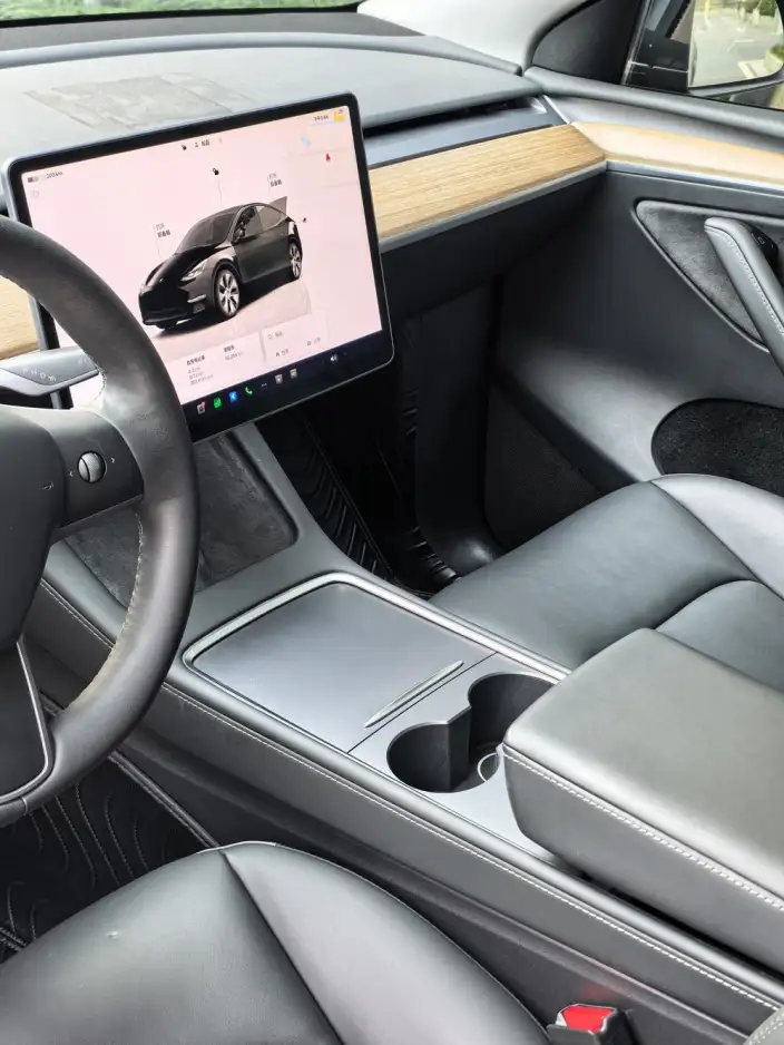 Model Y 2022 Model Facelift Rear-wheel drive version – фото 7