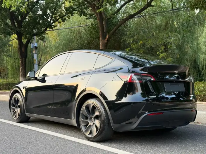Model Y 2024 Model Rear-wheel drive version – фото 5