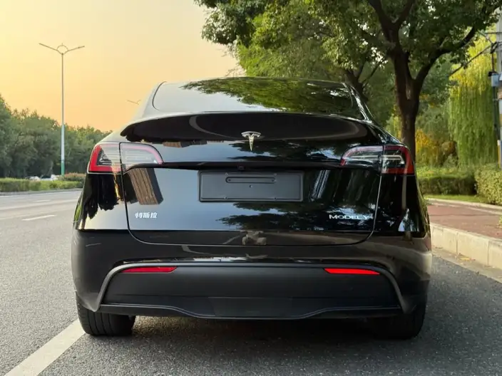 Model Y 2024 Model Rear-wheel drive version – фото 6