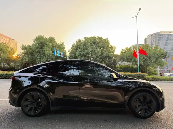 Model Y 2024 Model Rear-wheel drive version – фото 8