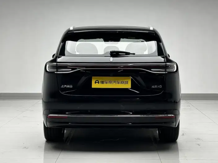 Sangyuan H5 2025 Model EV Max – фото 6