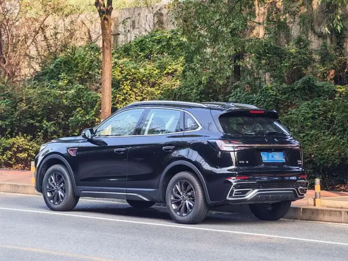 Hongqi HS5 2025 Model 2.0T Flag Xiang Pro Edition
