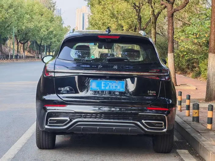 Hongqi HS5 2025 Model 2.0T Flag Xiang Pro Edition – фото 5