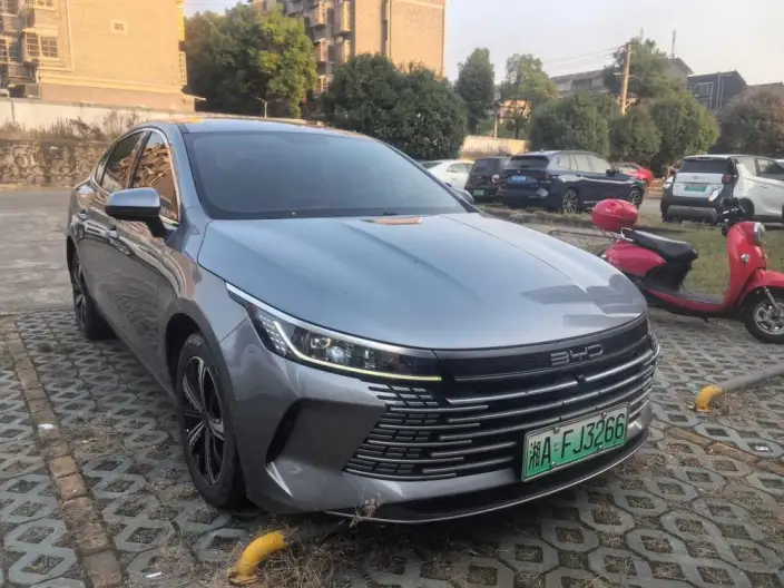 BYD Destroyer 05 2024 Model Honor Edition DM-i 120KM Luxury Model – фото 3