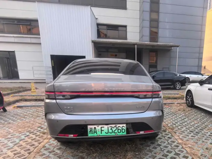 BYD Destroyer 05 2024 Model Honor Edition DM-i 120KM Luxury Model – фото 4