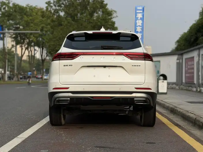 Haval H6 2021 Model Guo Trendy Edition 1.5T Automatic Champion Edition – фото 6