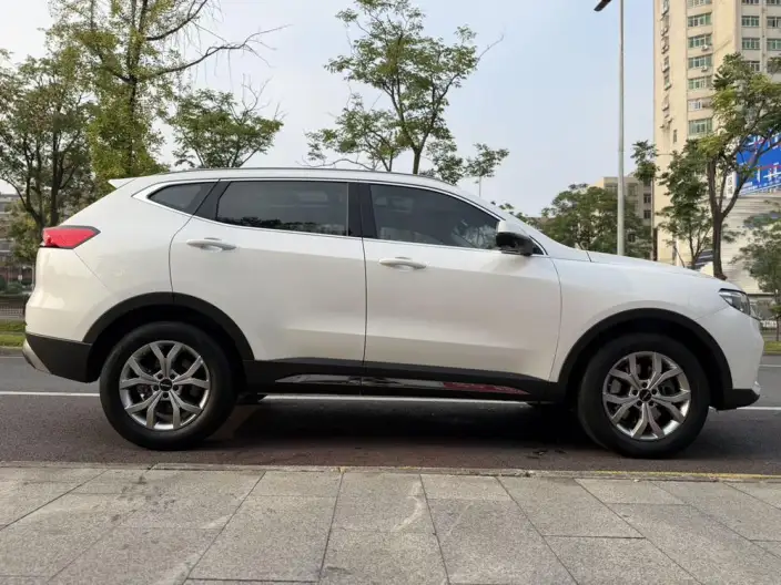 Haval H6 2021 Model Guo Trendy Edition 1.5T Automatic Champion Edition – фото 8