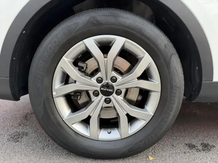 Haval H6 2021 Model Guo Trendy Edition 1.5T Automatic Champion Edition – фото 9