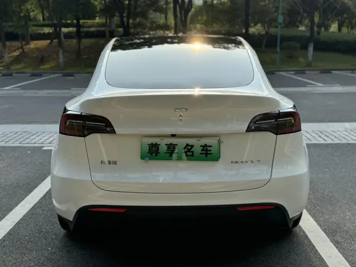 Model Y 2024 Model Rear-wheel drive version – фото 5