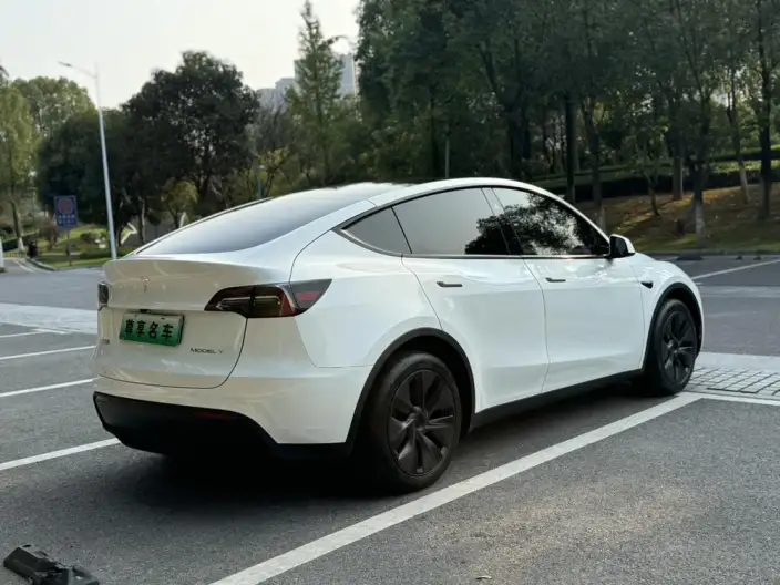 Model Y 2024 Model Rear-wheel drive version – фото 6