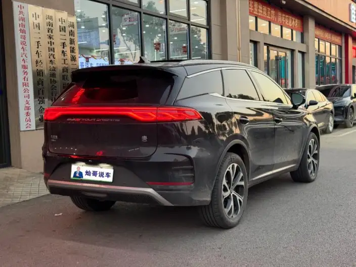 BYD Tang DM 2025 Model DM-i 115KM Noble Model – фото 6