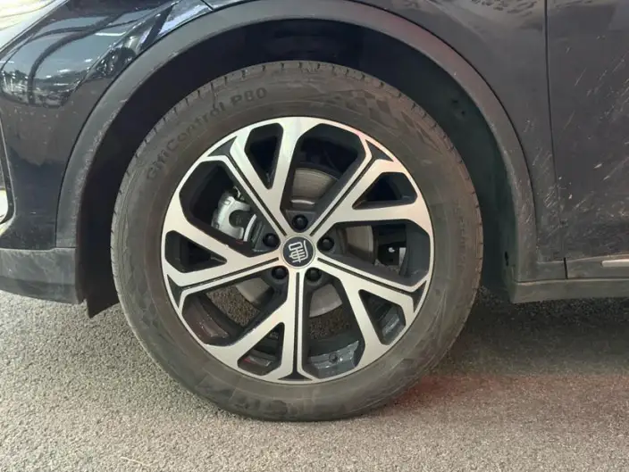 BYD Tang DM 2025 Model DM-i 115KM Noble Model – фото 9