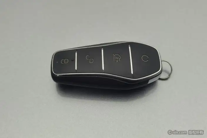 BYD Qin PLUS DM 2023 Model DM-i Champion Edition 55KM Leading Model – фото 6