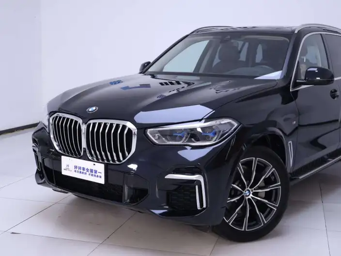 BMW X5 2022 Model Facelift xDrive 30Li M Sports Set – фото 10