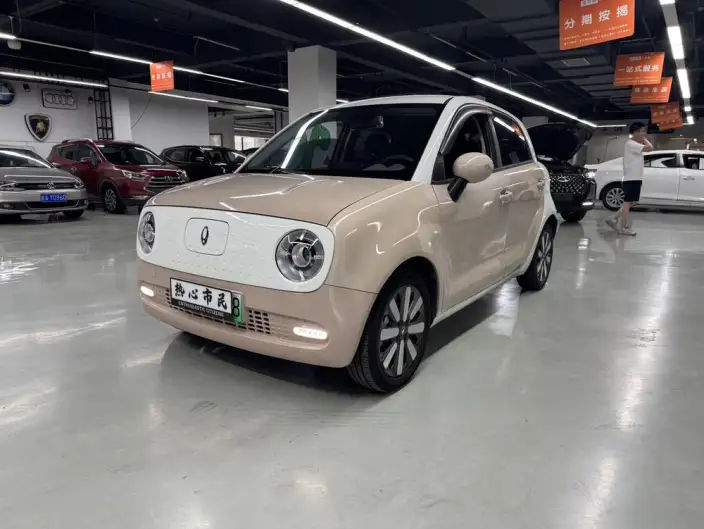 ORA Black Cat 2022 Model 351km Standard Model Ternary lithium