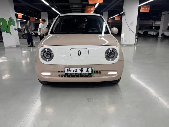 ORA Black Cat 2022 Model 351km Standard Model Ternary lithium