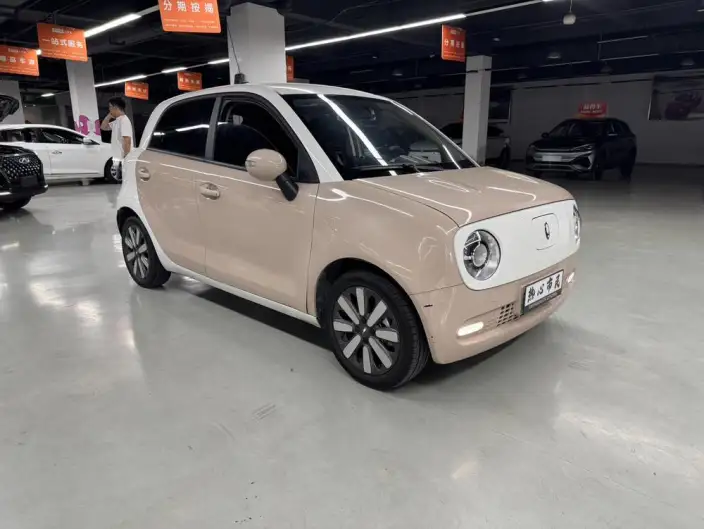 ORA Black Cat 2022 Model 351km Standard Model Ternary lithium