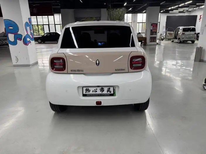 ORA Black Cat 2022 Model 351km Standard Model Ternary lithium – фото 5