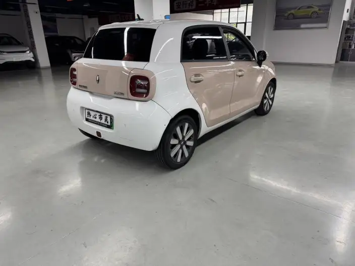 ORA Black Cat 2022 Model 351km Standard Model Ternary lithium – фото 6