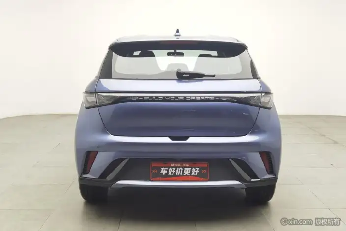 BYD Dolphin 2024 Model Honor Edition 420km Free Edition