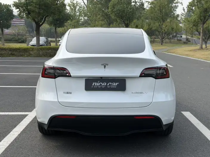 Model Y 2022 Model Rear-wheel drive version