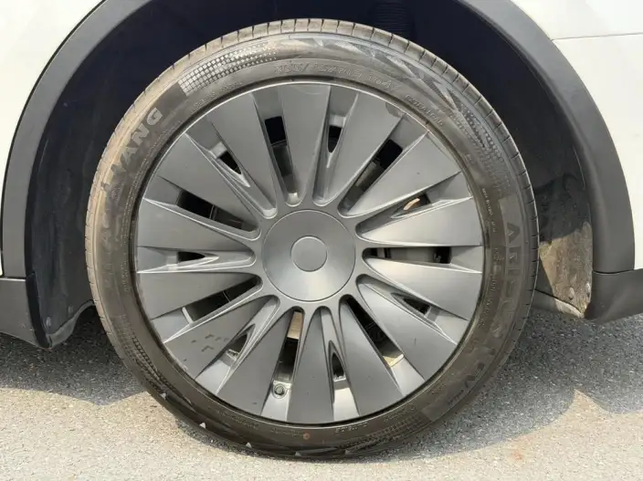 Model Y 2022 Model Rear-wheel drive version – фото 6