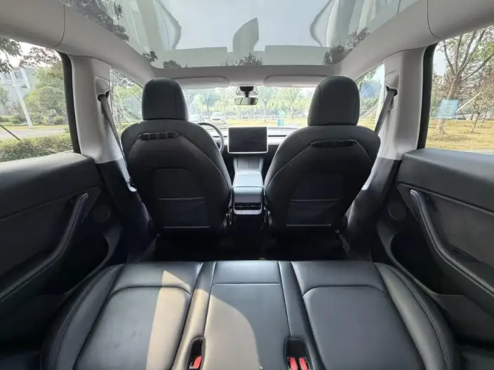 Model Y 2022 Model Rear-wheel drive version – фото 7