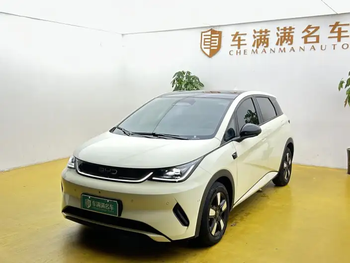 BYD Dolphin 2025 Model Smart Driving Edition 410KM Fashion Edition