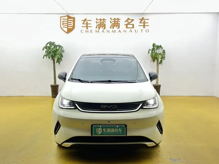 BYD Dolphin 2025 Model Smart Driving Edition 410KM Fashion Edition