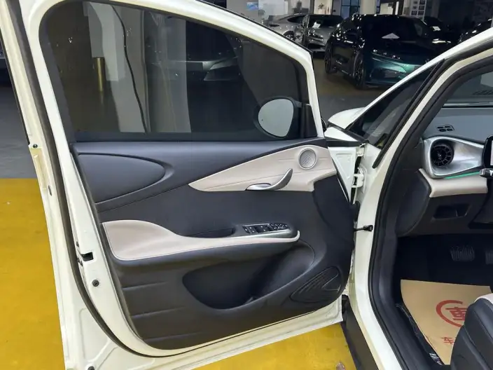 BYD Dolphin 2025 Model Smart Driving Edition 410KM Fashion Edition – фото 10