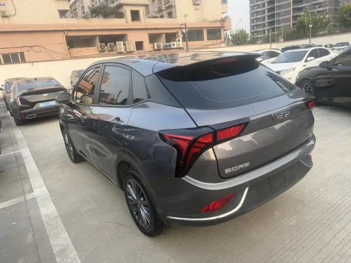 Neta V 2022 Model Pro Long Battery Life Pro Zhiqu Edition