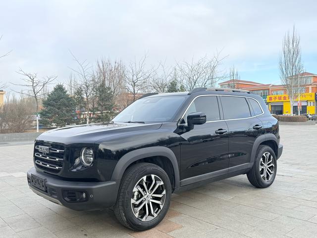 Haval Dachdog 2022 1.5T 2WD Border Collie – фото 1