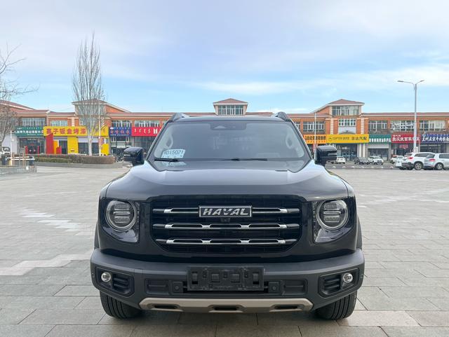Haval Dachdog 2022 1.5T 2WD Border Collie – фото 2
