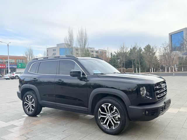 Haval Dachdog 2022 1.5T 2WD Border Collie – фото 3